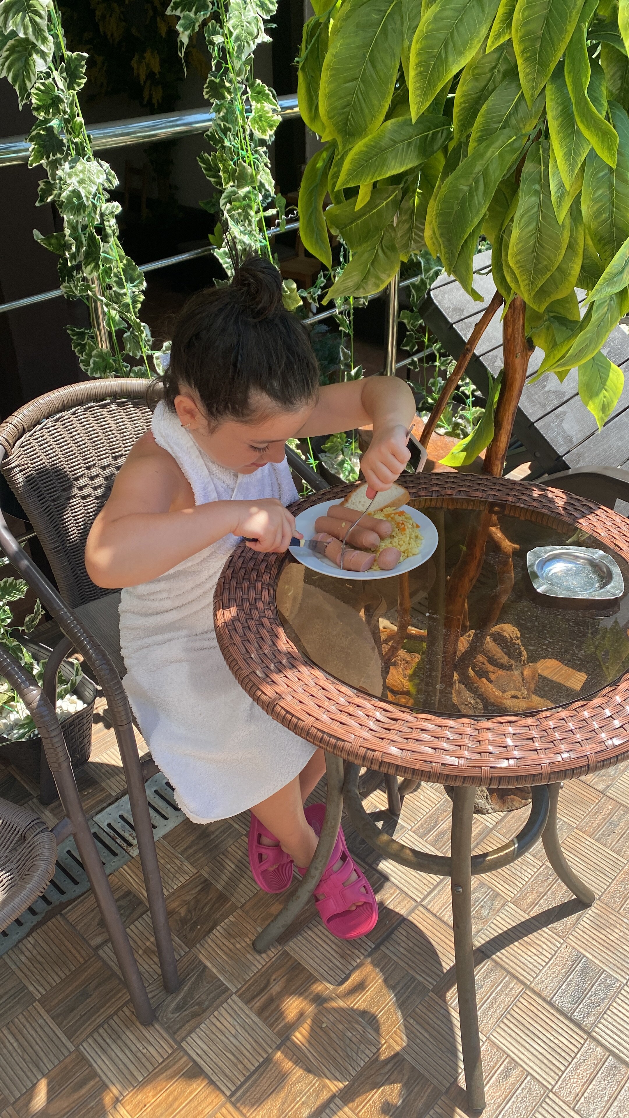 Фото Азалия Мимоза