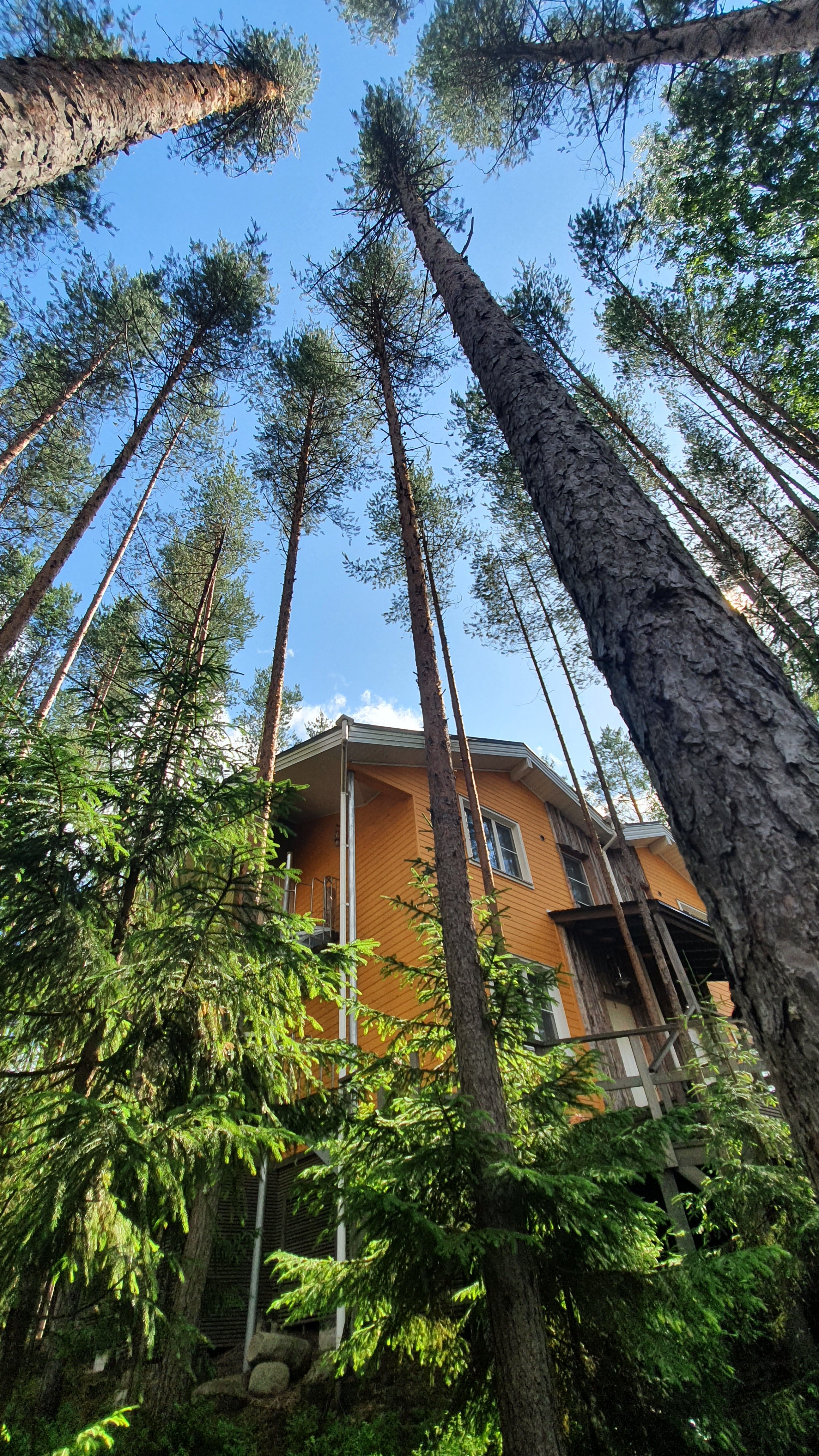 Фото Карьяла Парк