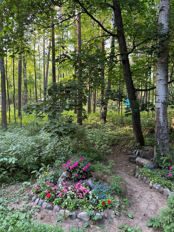 Фото Доброе утро