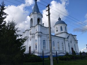 Церковь Богоявления Господня (Курская область, Курчатовский район, село Быки), православный храм в Курской области