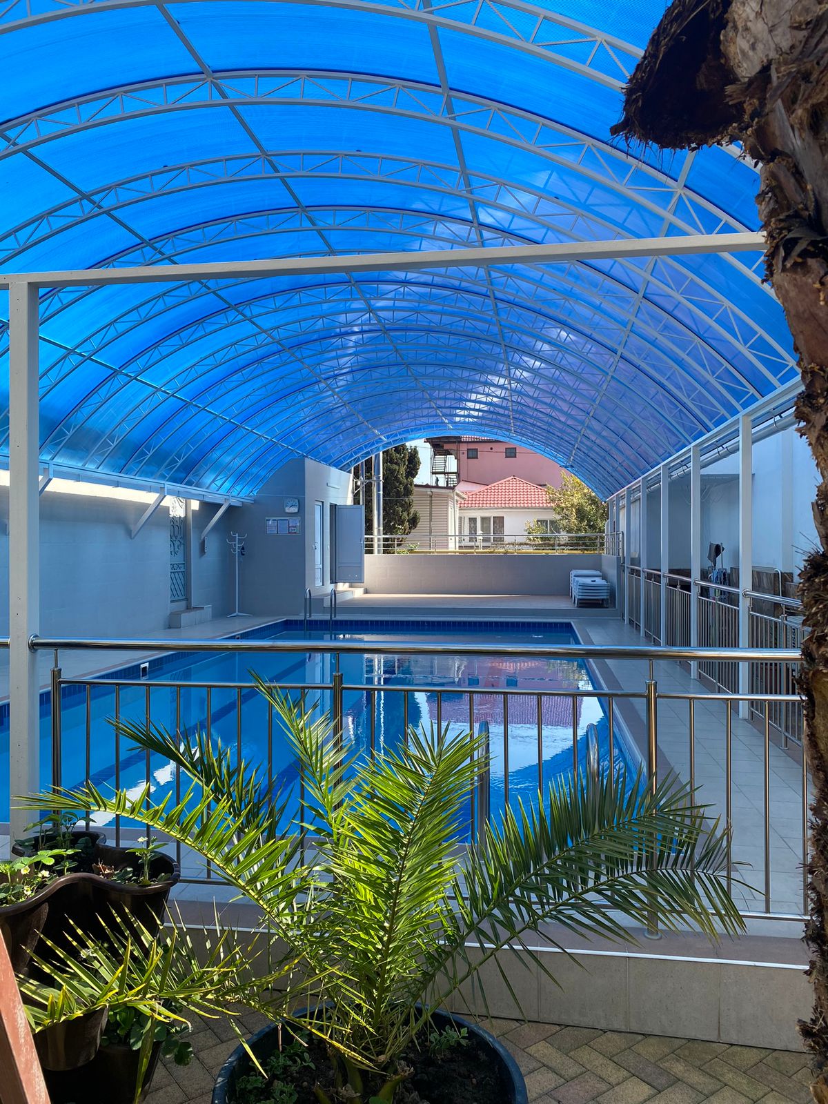 Фото Зелёный попугай