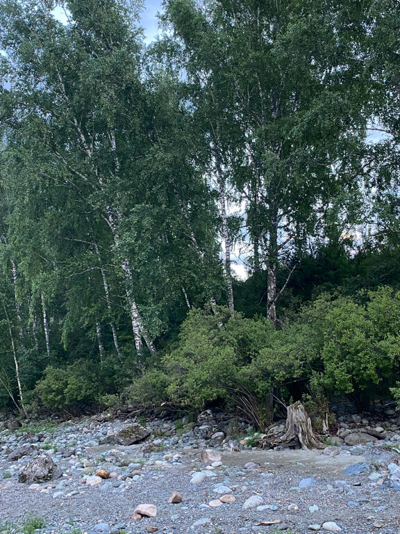 Фото Апартаменты Алама