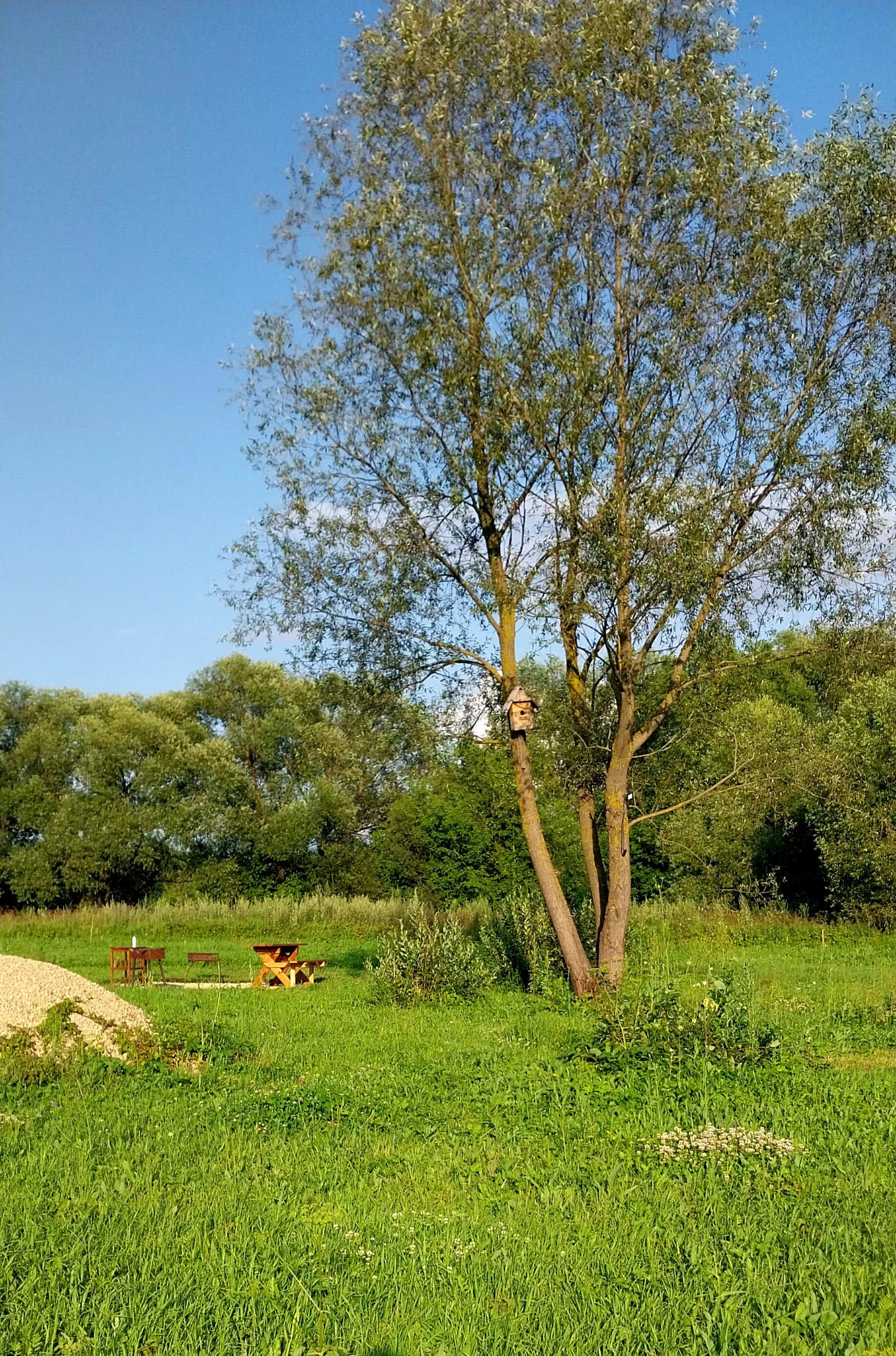 Фото Фактория