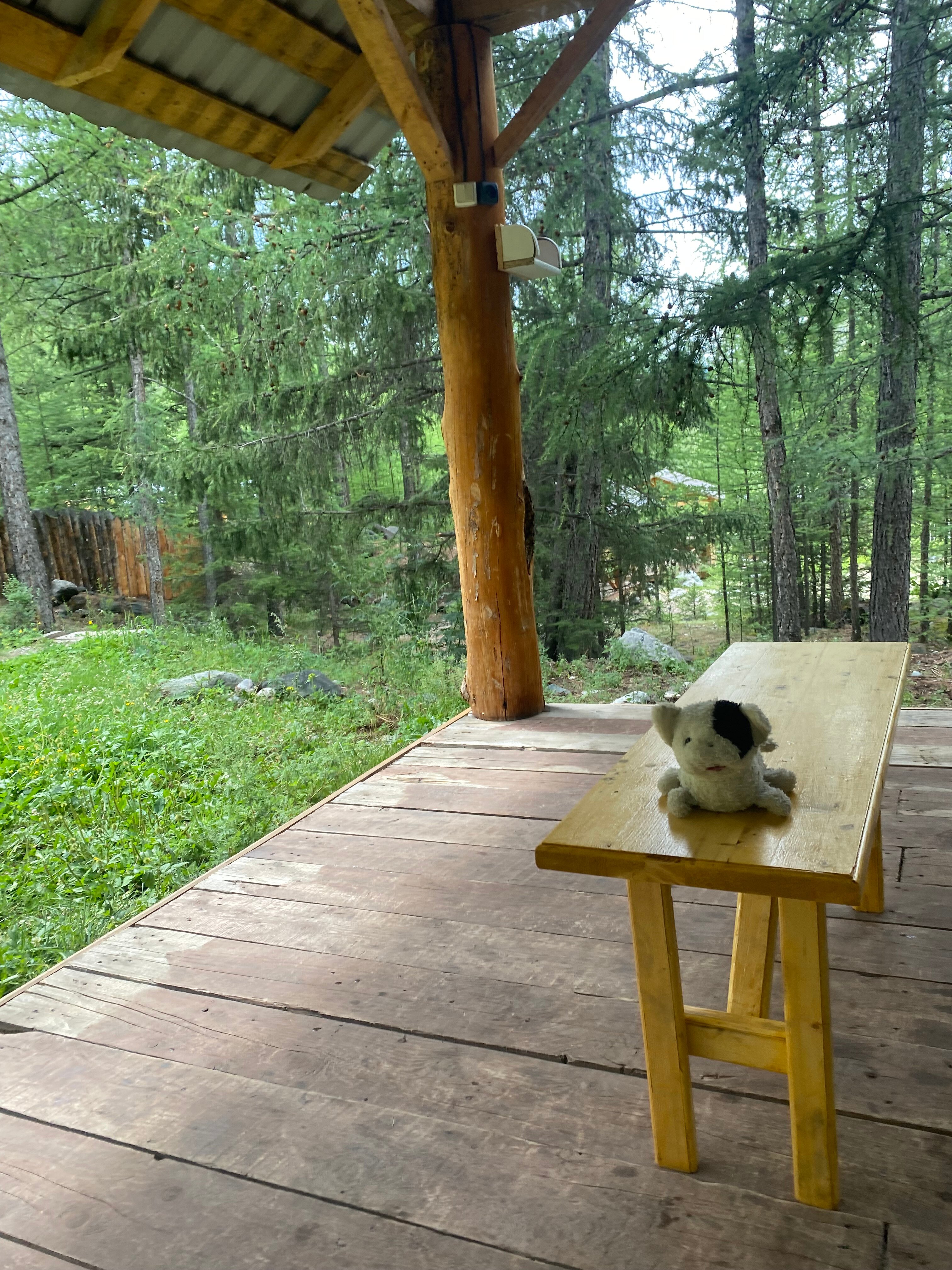 Фото Алатау