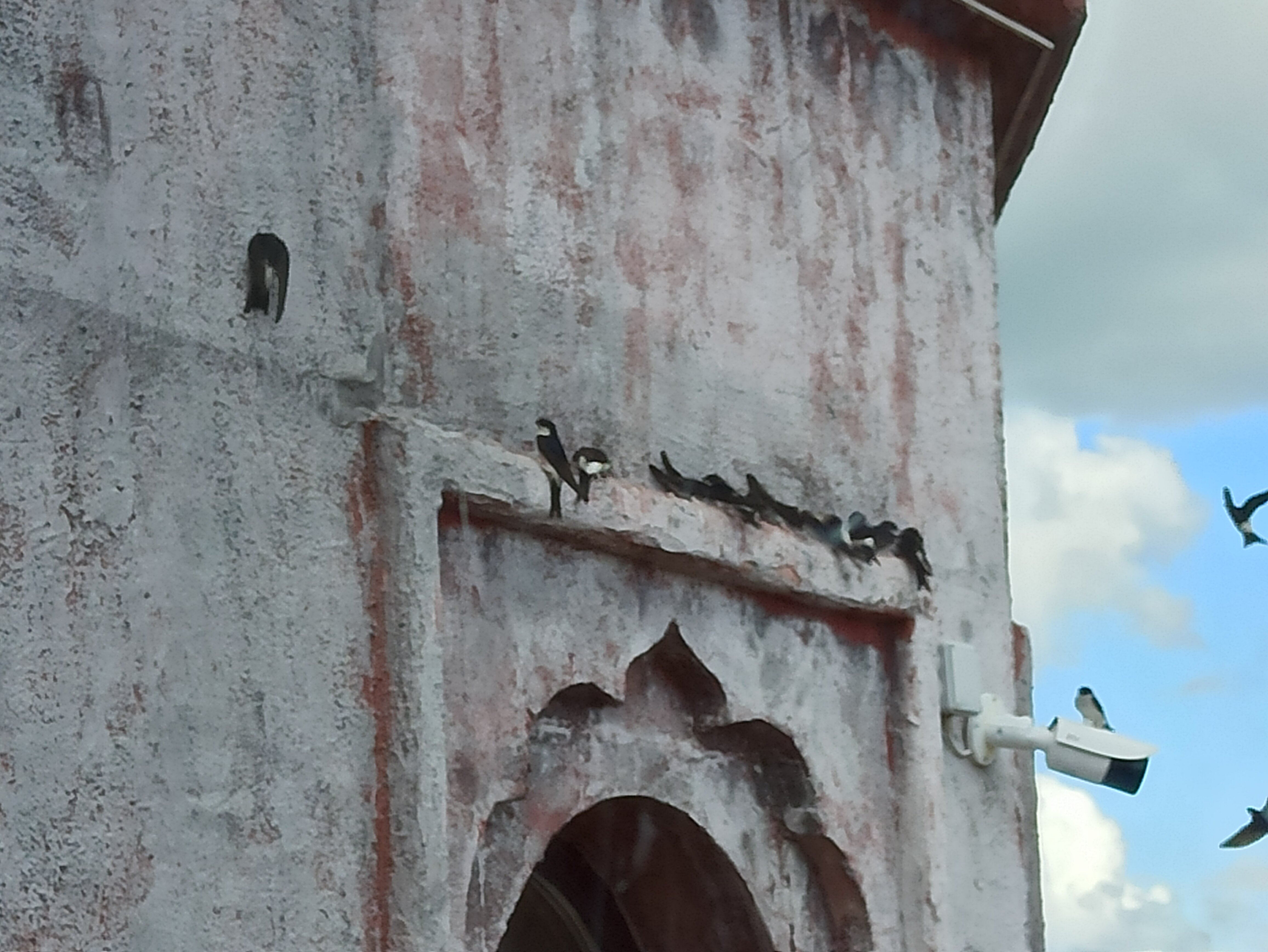 Фото Шри-Ланка