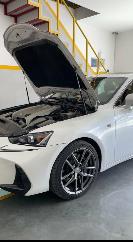 Car dealership Шкода, Dushanbe, photo