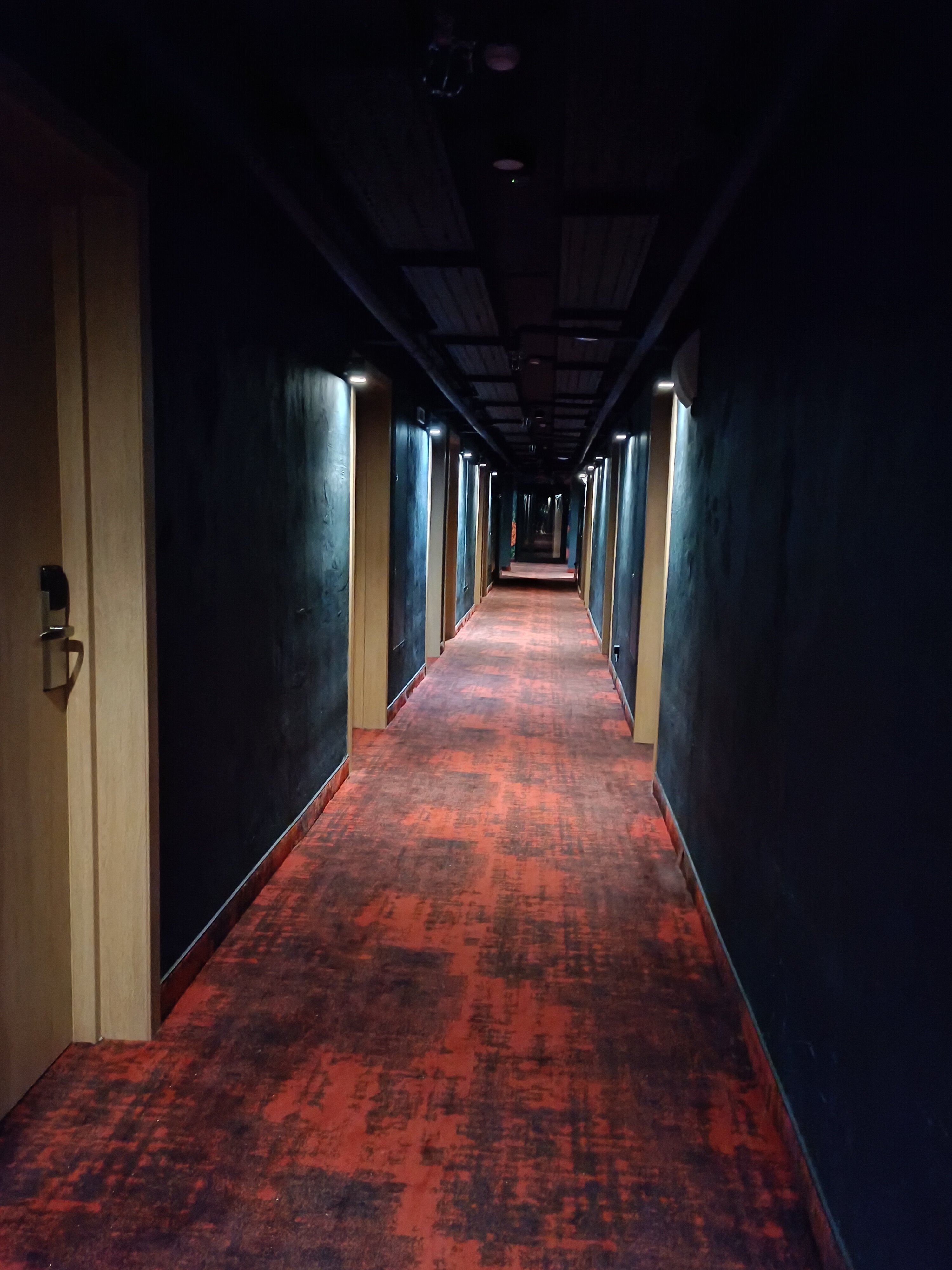 Фото Максимус на Лесной