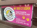Зоостудия (Krasnyh Partizan Street, 1/3к5), pet salon