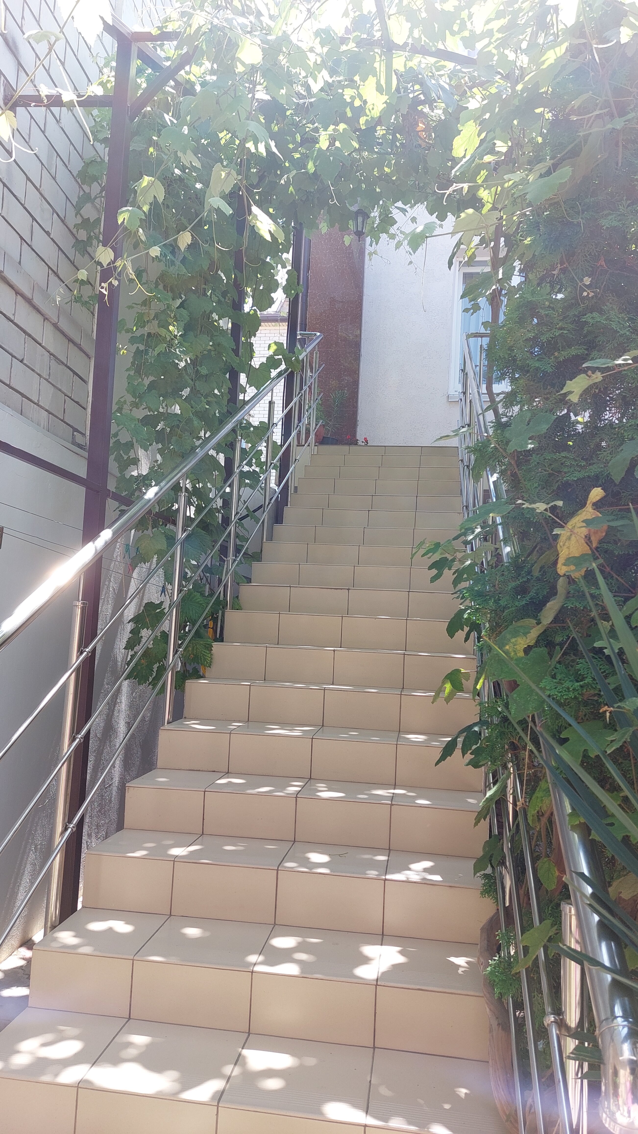 Фото Ванилька