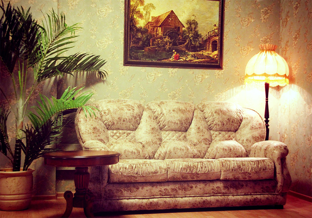 Фото Абрикос