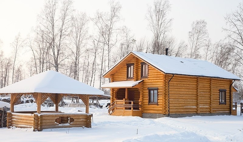 Фото Озерный берег