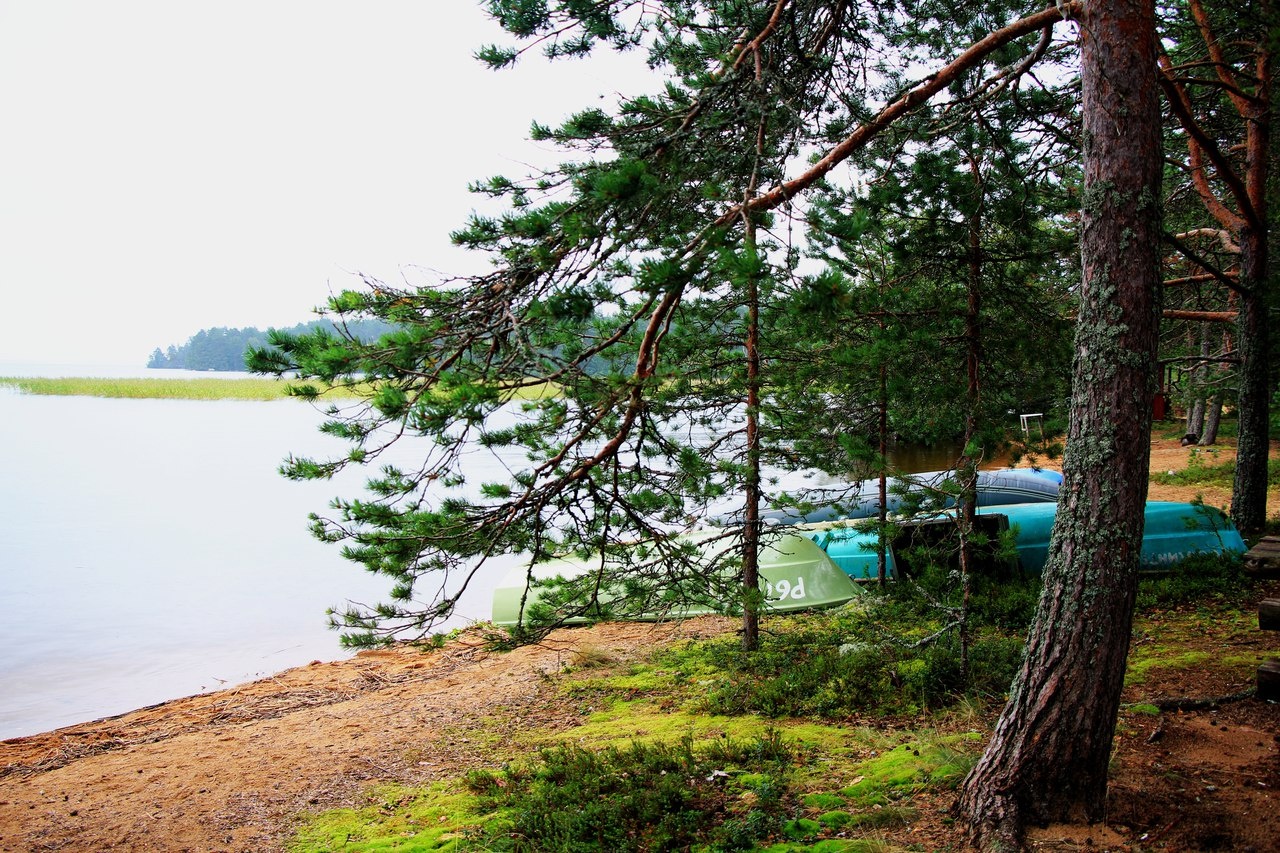 Фото Северное сияние