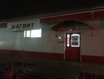 Magnit (posyolok gorodskogo tipa Anna, Krasnoarmeyskaya ulitsa, 203), grocery