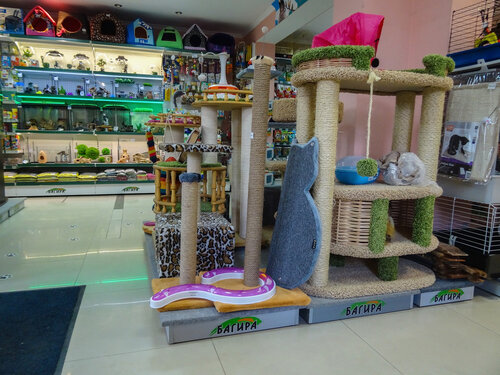 Showroom Bagira, Republic of Crimea, photo