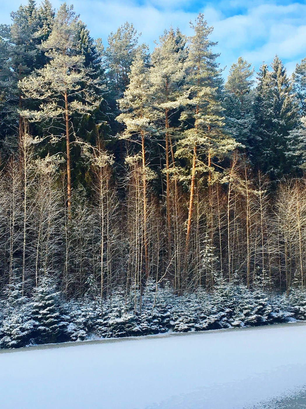 Фото Пушкиногорье