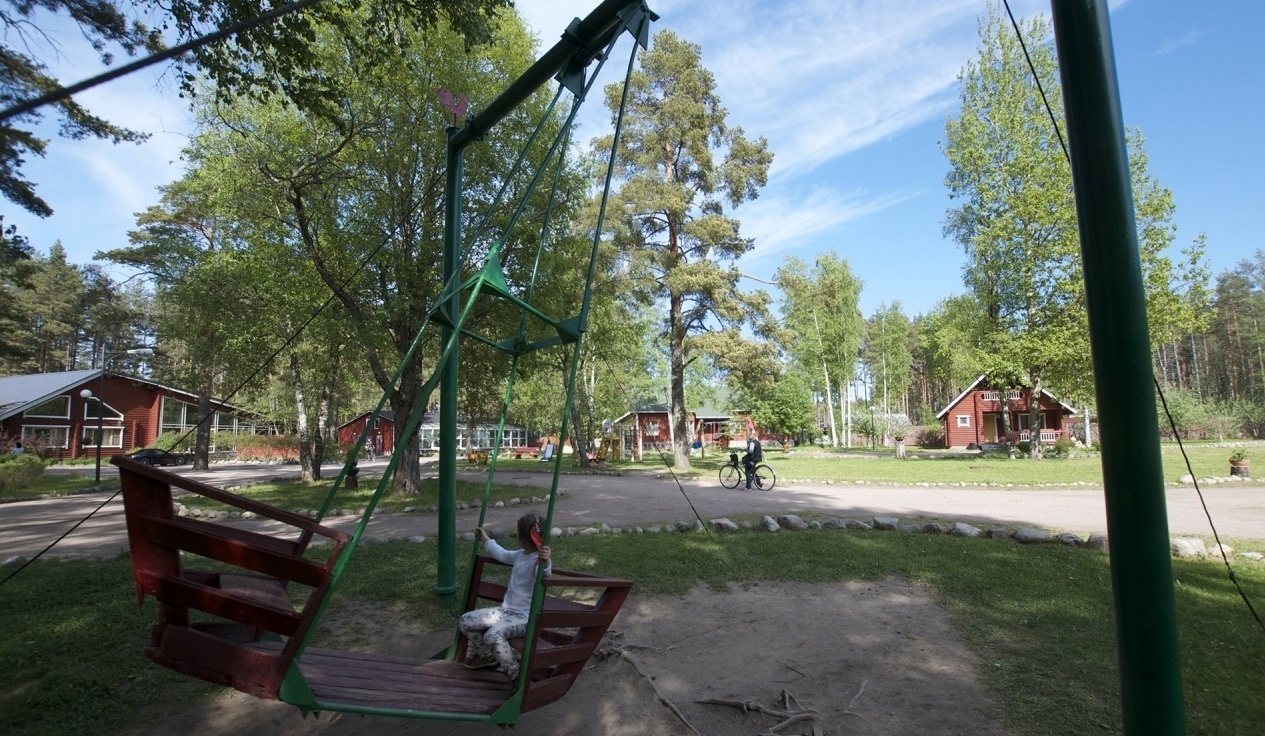 Фото Брусника