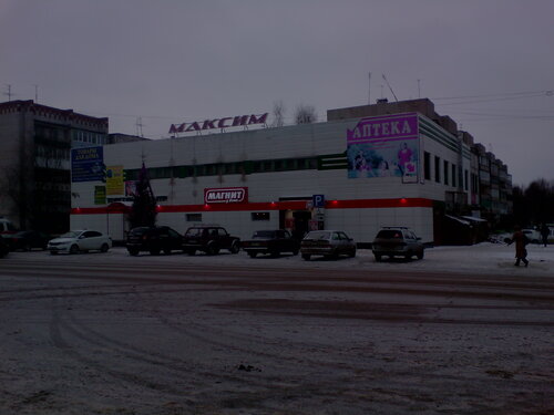 Shopping mall Torgovy tsentr Maksim, Bogorodsk, photo