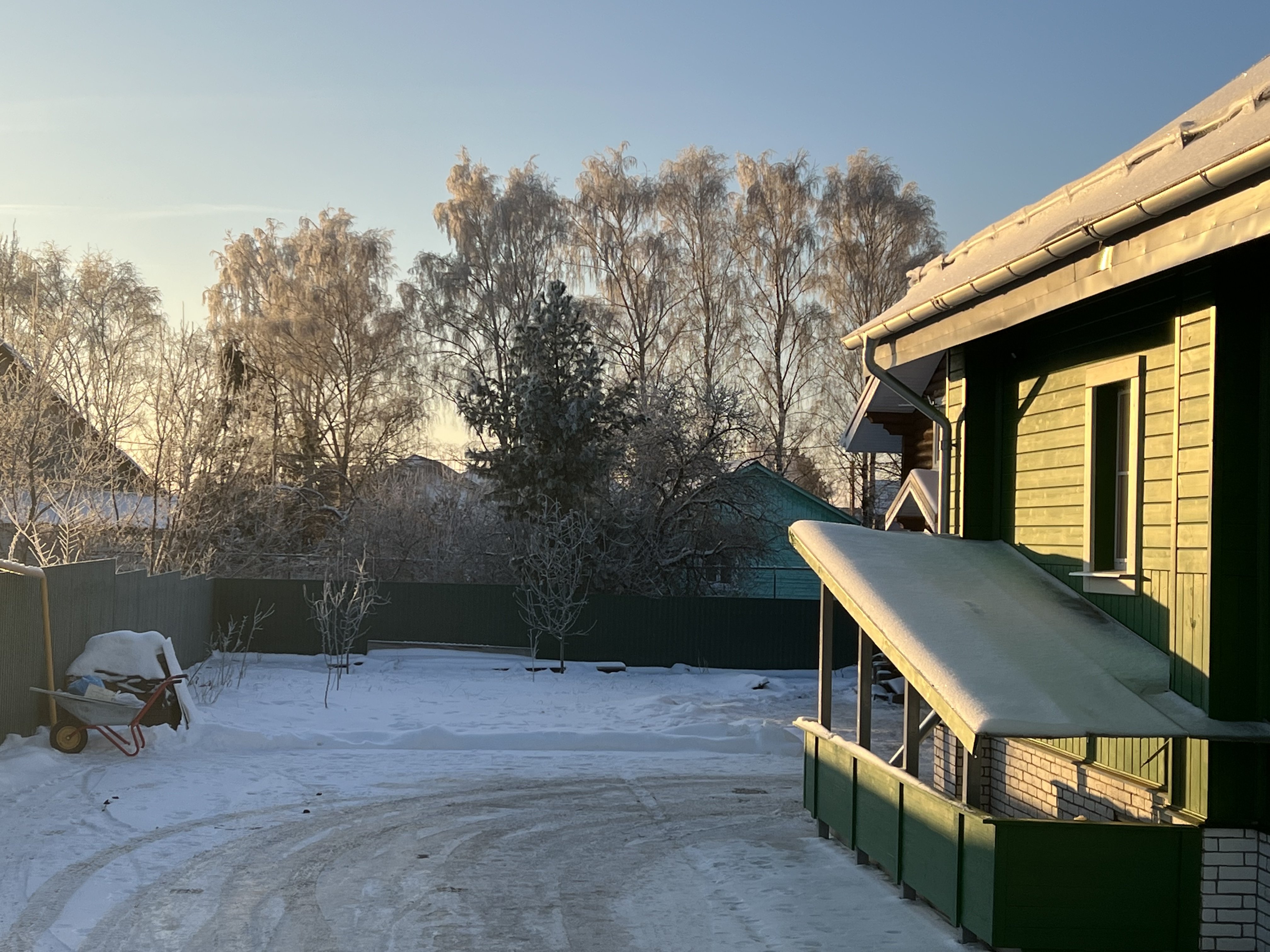 Фото Медоед