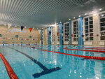 Swimming pool (ulitsa Serebryany Bor, 11Б) ، حمام السباحة