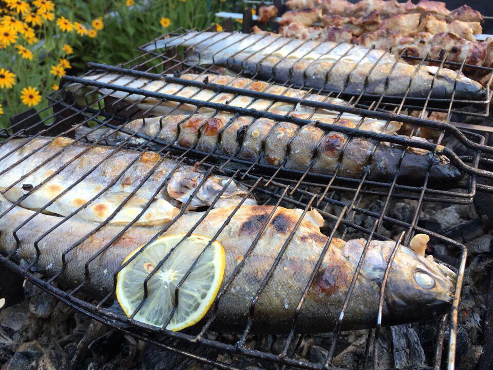 Фото Вуд Хаус