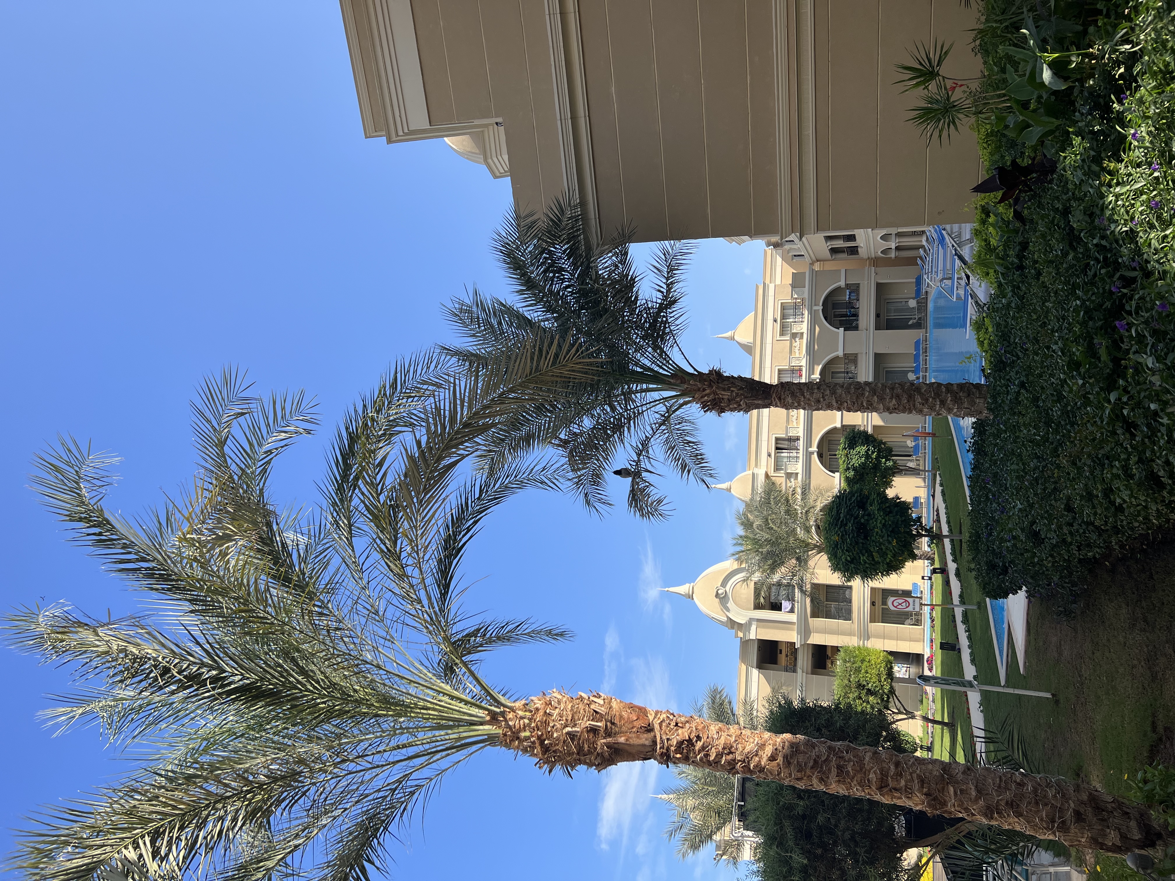 Фото Titanic Royal