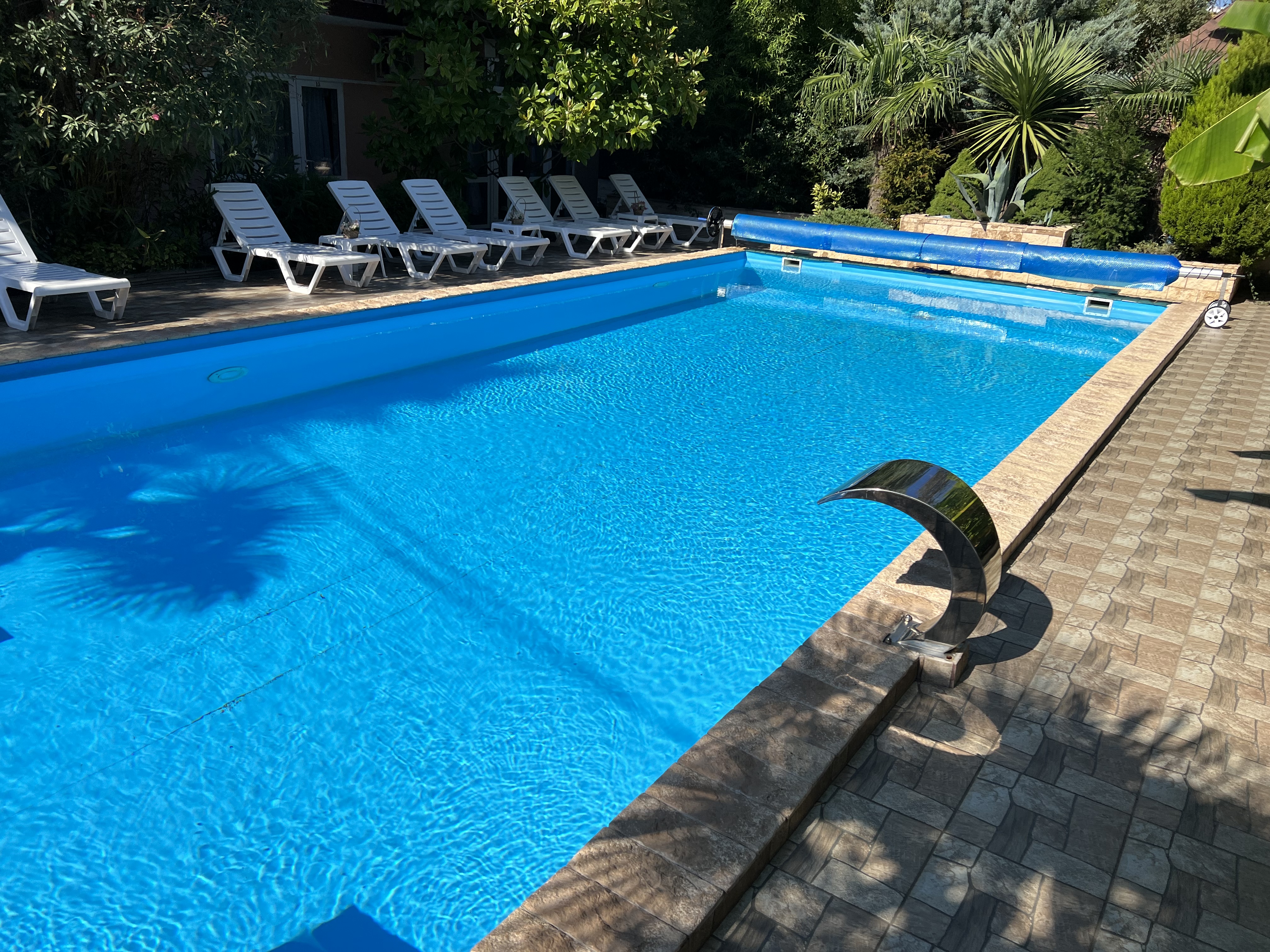 Фото У Елены