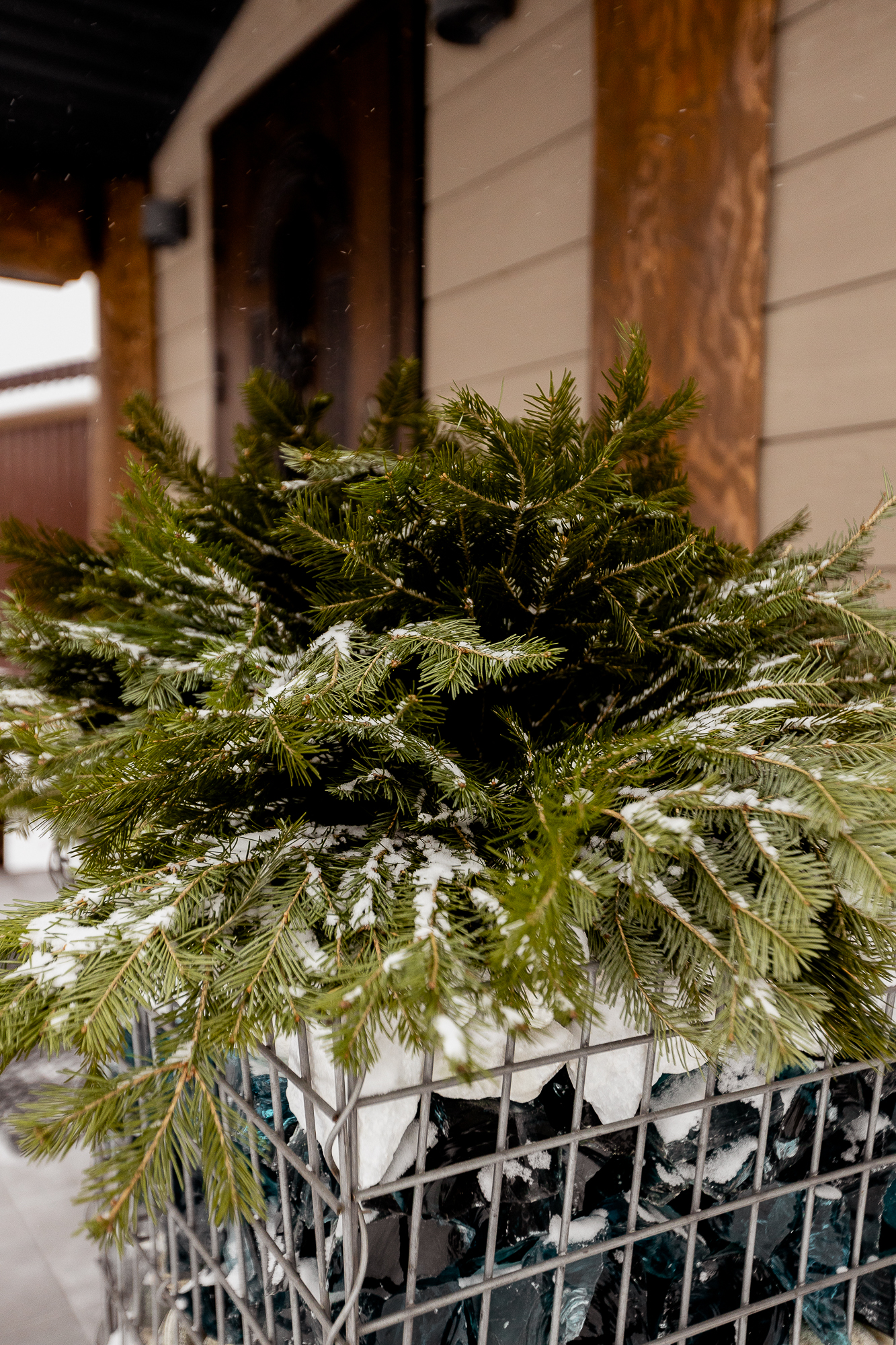 Фото Светлый