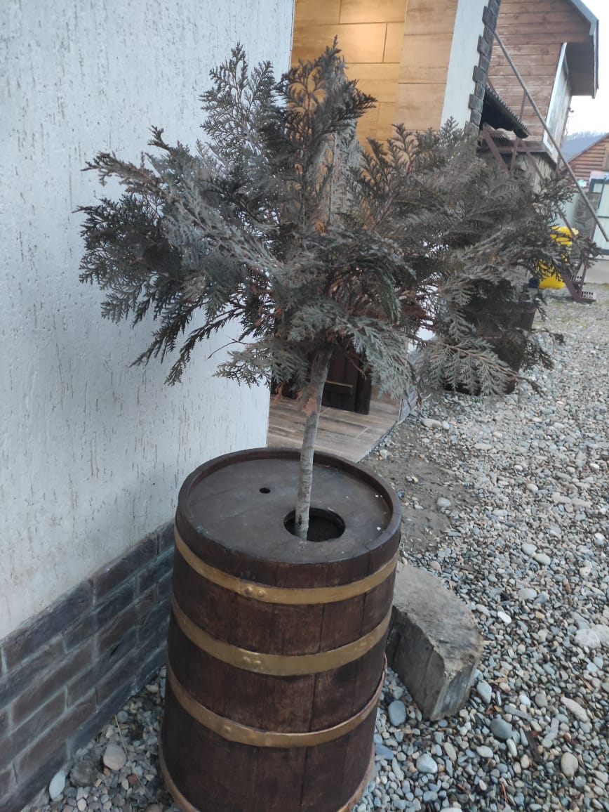 Фото Деревенька