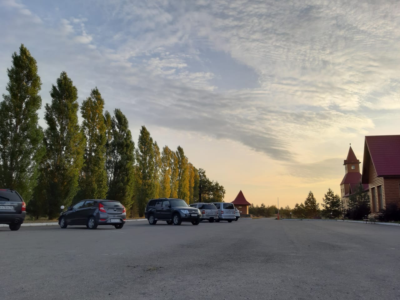 Фото Кленовая роща