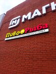 PivoRuba (Marshala Kazakova Street, 1к1Б), beer shop