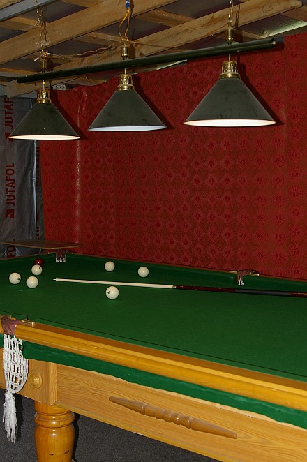 Фото Пальма