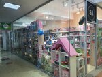 Imaginarium Toys (Samal-1 shaǵyn aýdany, Joldasbekov kóshesi, 9А), toys and games