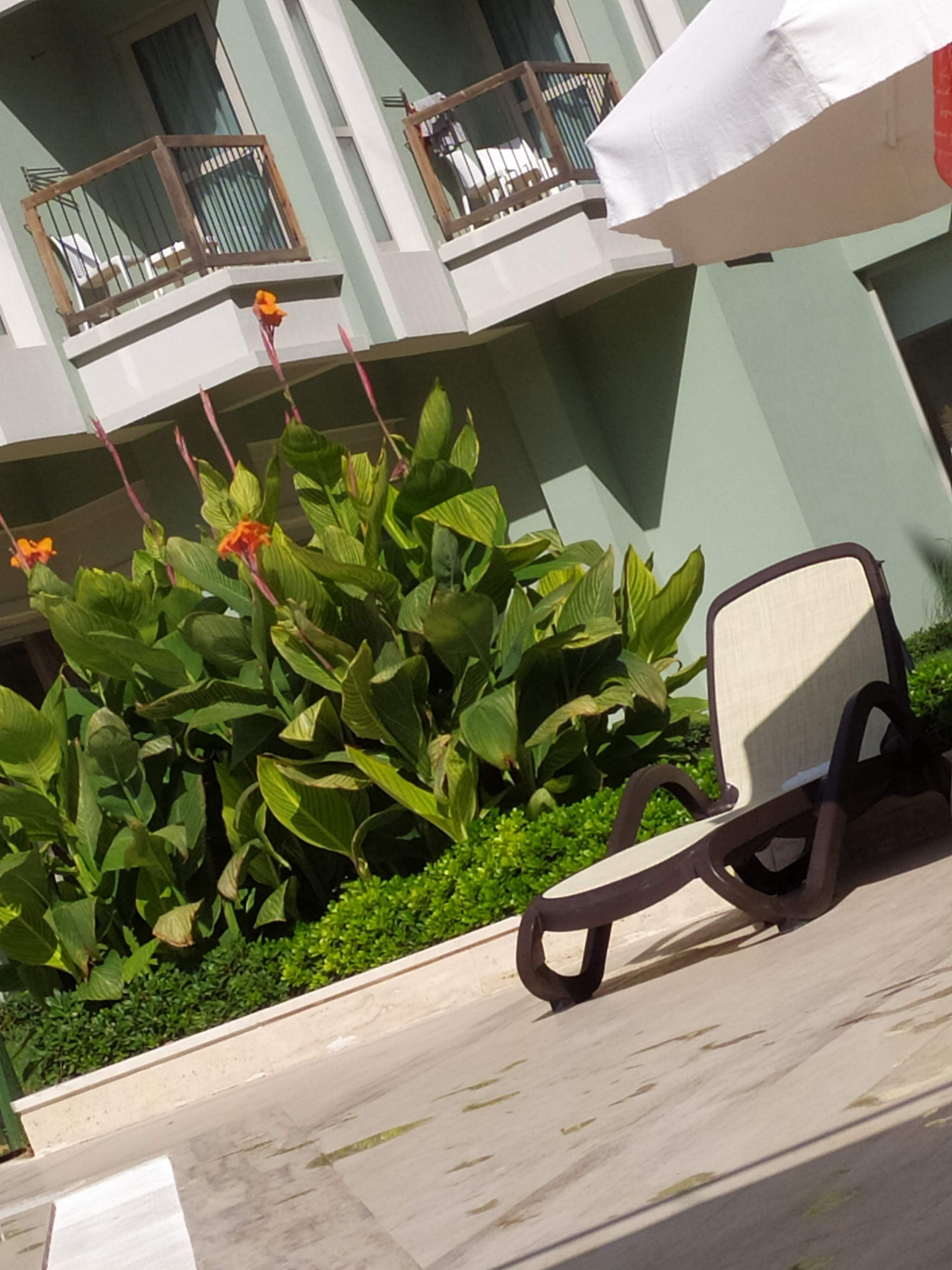 Фото Royal Atlantis SPA & Resort