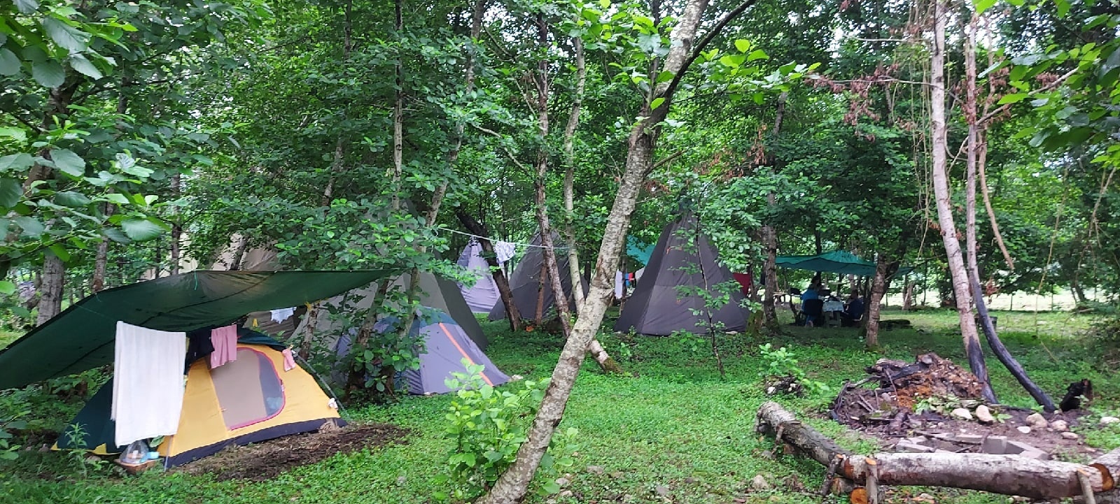 Фото Страна Души