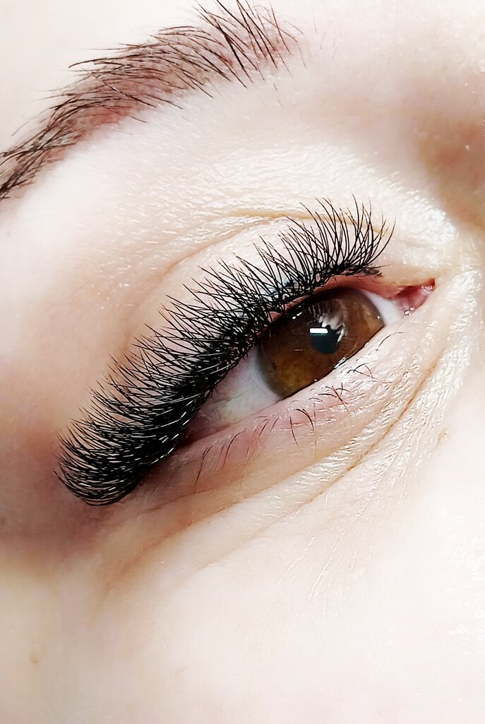 Eyebrow and eyelash salon Julia Mikhailova, Orel, photo