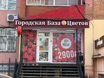 Gorodskaya baza cvetov (Krasnoy Armii Avenue, 209), floristeria