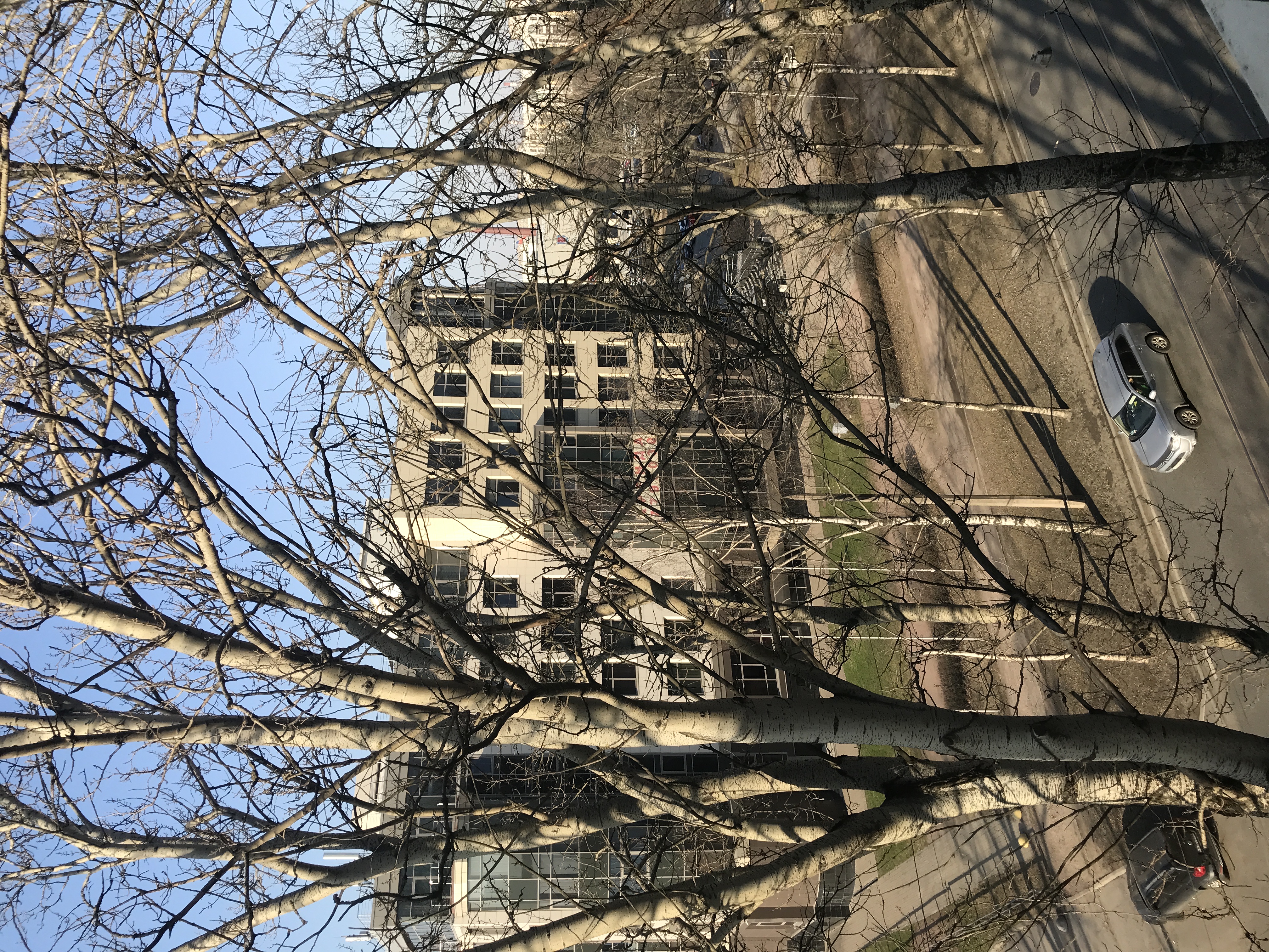 Фото АпартПейдж Елагин