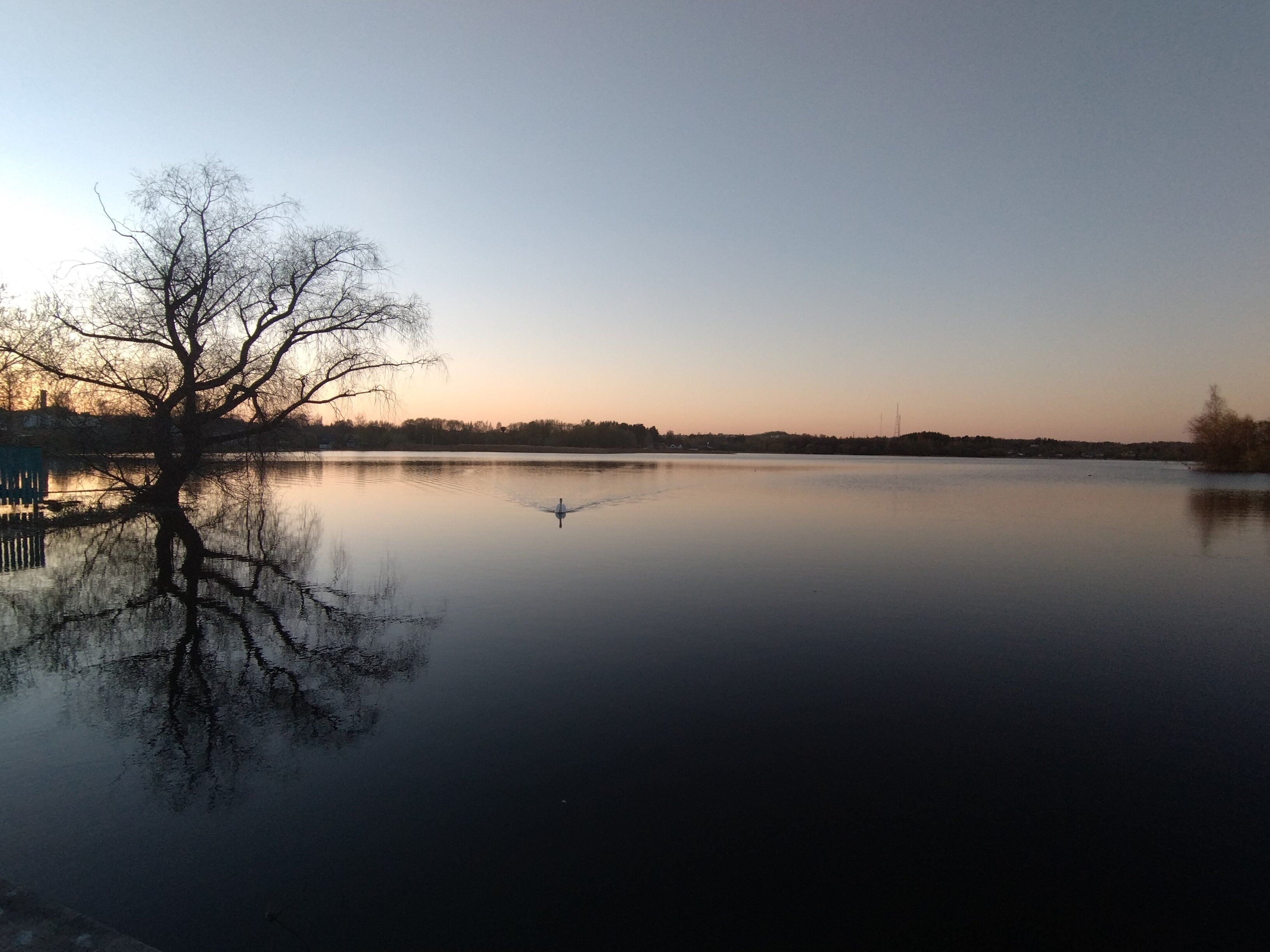 Фото Прибалтийский