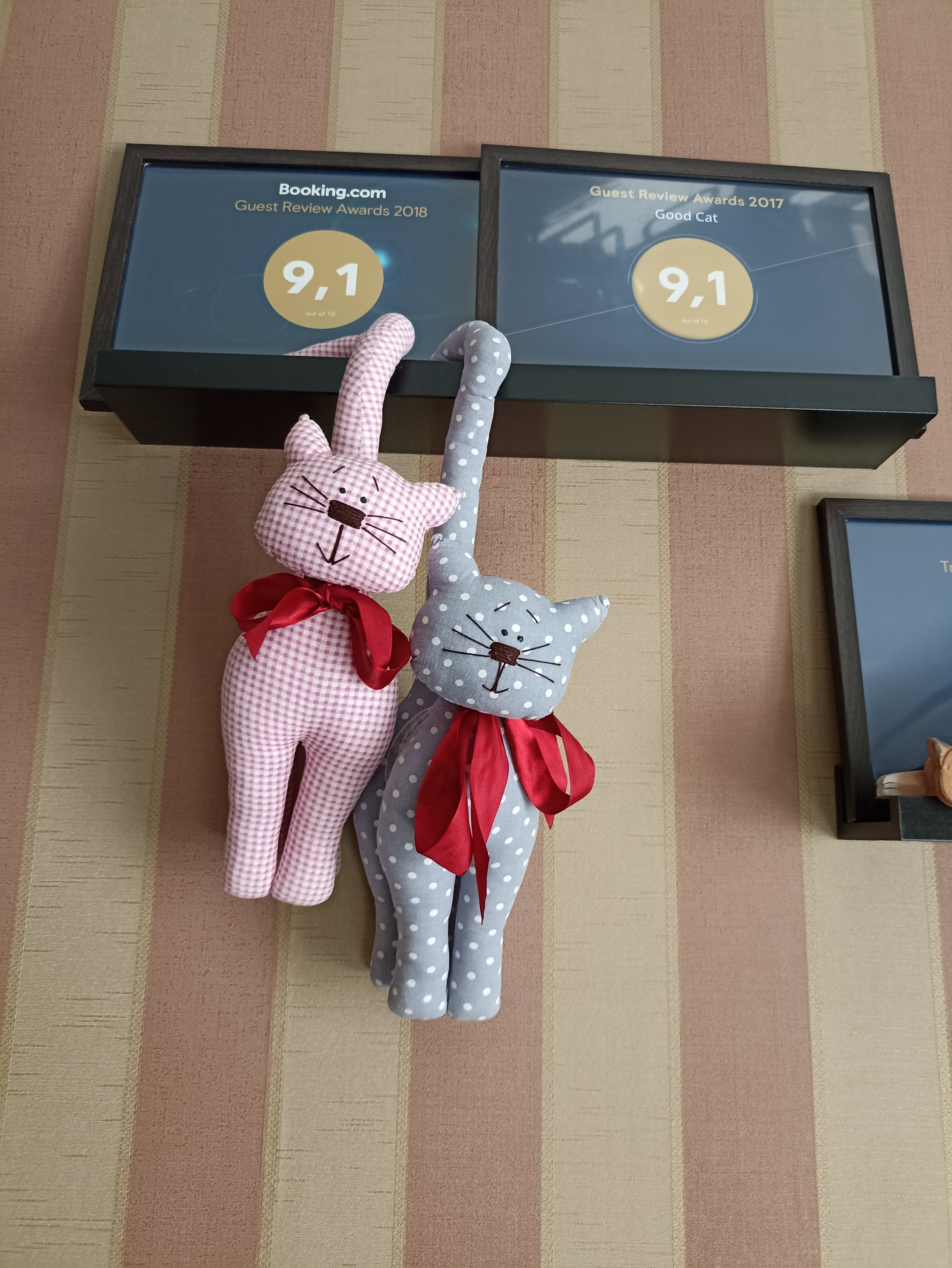 Фото Добрый Кот