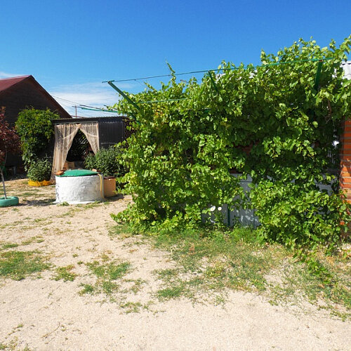 Фото Должанский дворик