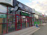 Pandora (Bratev Kashirinykh Street, 55), floristeria