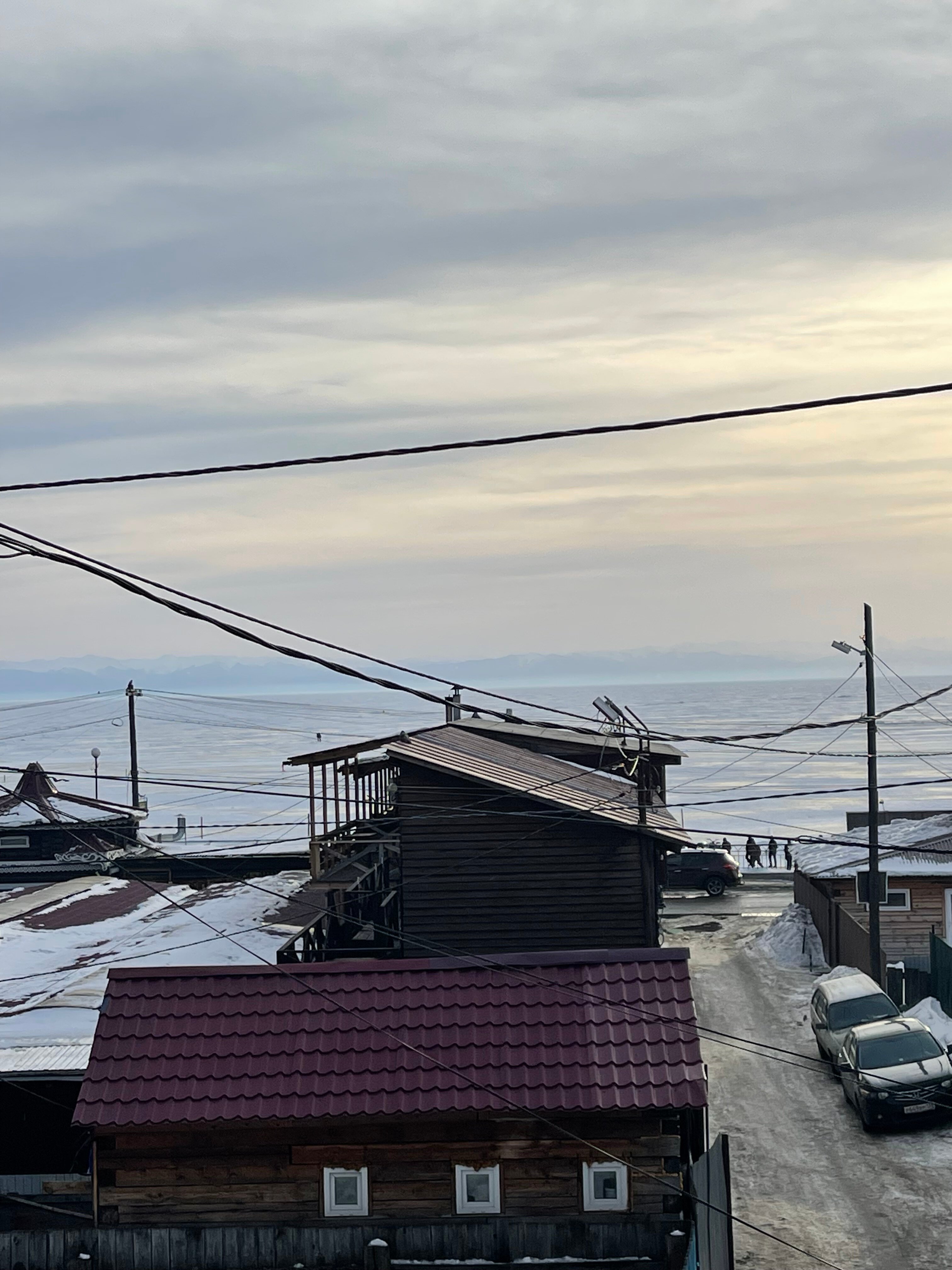 Фото Байкал Кедр