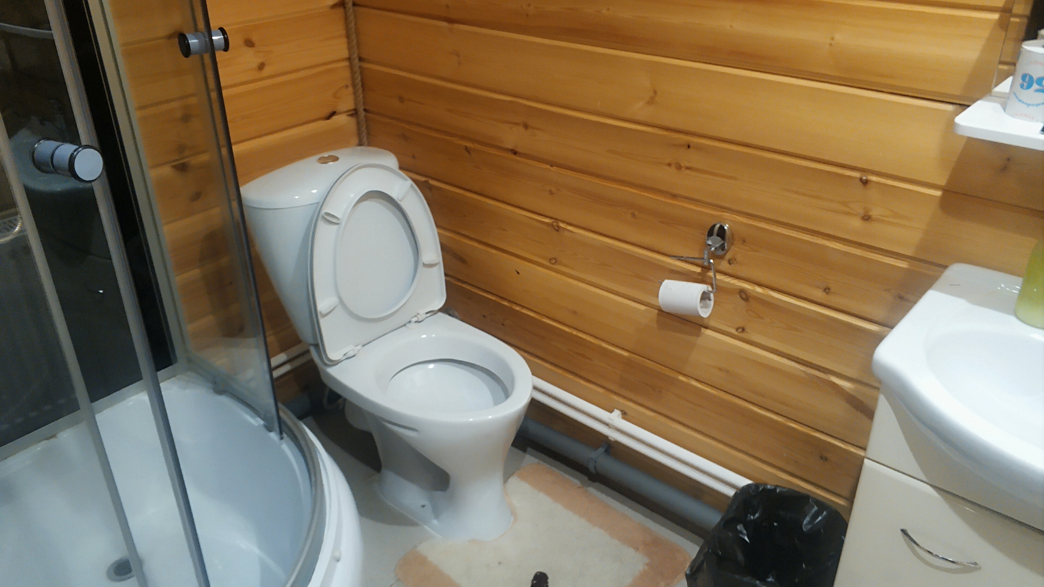 Фото Зеленый Бор