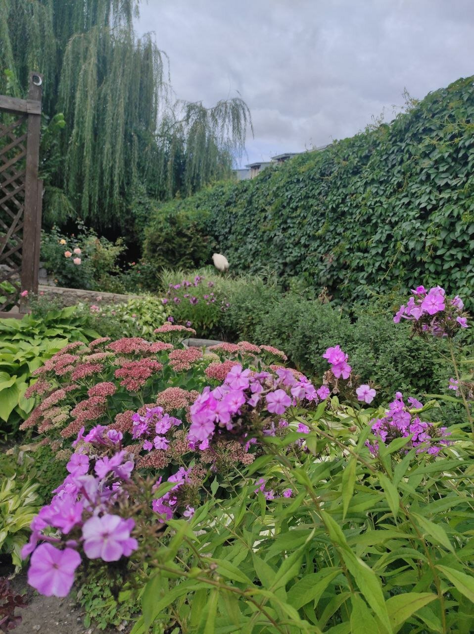 Фото Пролетарская улица 19