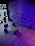 The Sneakers Lounge (ulitsa Kaminskogo, 24/24А), shoe store