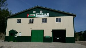 Izumrud (Oktyabrskiy Avenue, 50к2), car service, auto repair