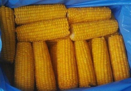 Frozen food products KhotKorn, Moscow, photo