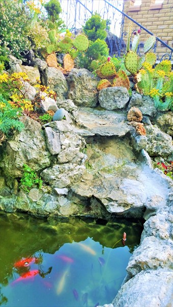 Фото Корона