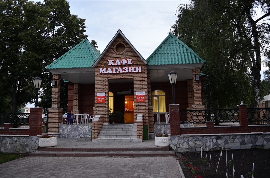 Фото Зеленая роща