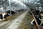 Черновской (selo Smorodinka, Sovetskaya ulitsa, 19), agricultural enterprise